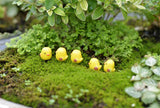 XBJ055  Yellow chick decoration moss micro landscape landscaping cartoon mini potted  Desktop Resin Accessories