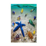 3D PVC Starfish Floor Decals Sticker Wall Removable Vivid Room Decoration