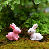 XBJ118 Mini 6pcs Pink and white rabbit decoration supplies moss micro landscape deco  Garden deco Creative handicrafts