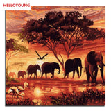 Animal world DIY Painting By Numbers Wall Art Picture Canvas Painting Home Decor Acrylic Paint Living Room Home Decoration