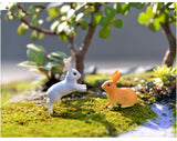 XBJ077 Mini 3pcs Rabbit  Bottle decoration supplies moss micro landscape deco  Garden deco Creative handicrafts