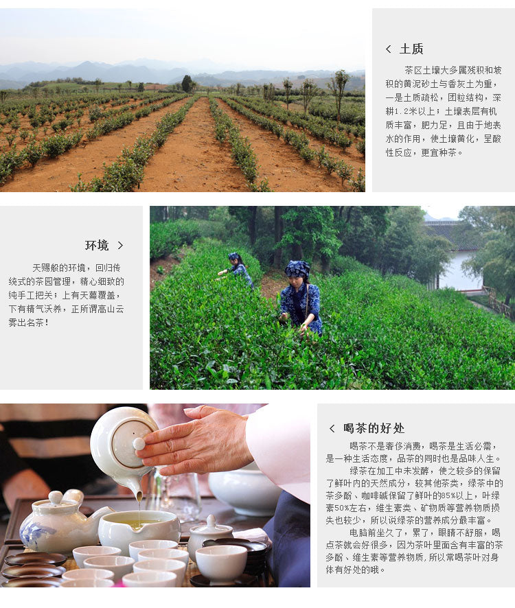 TemuTea Chinese Tea Longjing Tea Spring Green Tea West lake Longjing Tea 50g Long Jing tea