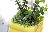 XBJ057 Miniature Hedgepig Set of 3pcs  Resin Hedgehog Figurine Garden Flower Pot Home Decoration