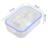 High Quality 1000ml Lunch Box Healthy Plastic 3 cell Food Container Bento Boxes Microware oven LunchBox