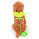Cute Angel Pet Dog Leashes and Collars Set Puppy Leads for Small Dogs Cats Designer Wing Adjustable Dog Harness Pet Accessories