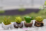 XBJ059 Craft Mini Simulation Resin Succulents Models Garden Miniatures Potted Plants Ornament Home Decor
