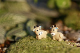 XBJ089 Mini 10pcs Cow dolls Bottle decoration supplies moss micro landscape deco  Garden deco Creative handicrafts