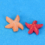 XBJ167 Mini 8pcs Small starfish decoration supplies moss micro landscape deco  Garden deco Creative handicrafts