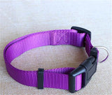 CW019 New Fashion Nylon dog collars for small dogs Pet Cat Collar 4 Sizes 4 colors adjustable dog collar nylon wholesale