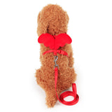 Cute Angel Pet Dog Leashes and Collars Set Puppy Leads for Small Dogs Cats Designer Wing Adjustable Dog Harness Pet Accessories