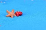 XBJ167 Mini 8pcs Small starfish decoration supplies moss micro landscape deco  Garden deco Creative handicrafts