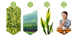 100g Chinese Fuding Silver Needle White Tea Bai Hao Yin Zhen Tea Health Care Tea