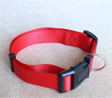 CW019 New Fashion Nylon dog collars for small dogs Pet Cat Collar 4 Sizes 4 colors adjustable dog collar nylon wholesale