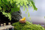 XBJ086 Mini 4pcs Oriole bird Bottle decoration supplies moss micro landscape deco  Garden deco Creative handicrafts