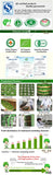 10 bags black oolong tea baked tieguanyin oolong tea black oolong Tie Guan Yin