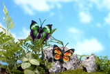 XBJ151 Mini 8pcs Simulation butterfly decoration supplies moss micro landscape deco  Garden deco Creative handicrafts