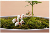 XBJ137 Mini 8pcs White horse decoration supplies moss micro landscape deco  Garden deco Creative handicrafts