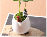 XBJ129 Mini 6pcs Small mole decoration supplies moss micro landscape deco  Garden deco Creative handicrafts