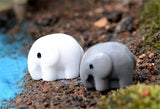 XBJ141 Mini 5pcs Elephant fleshy decoration supplies moss micro landscape deco  Garden deco Creative handicrafts