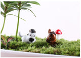 XBJ109 Mini 6PCS pony decor supplies moss micro landscape deco  Garden deco Creative handicrafts