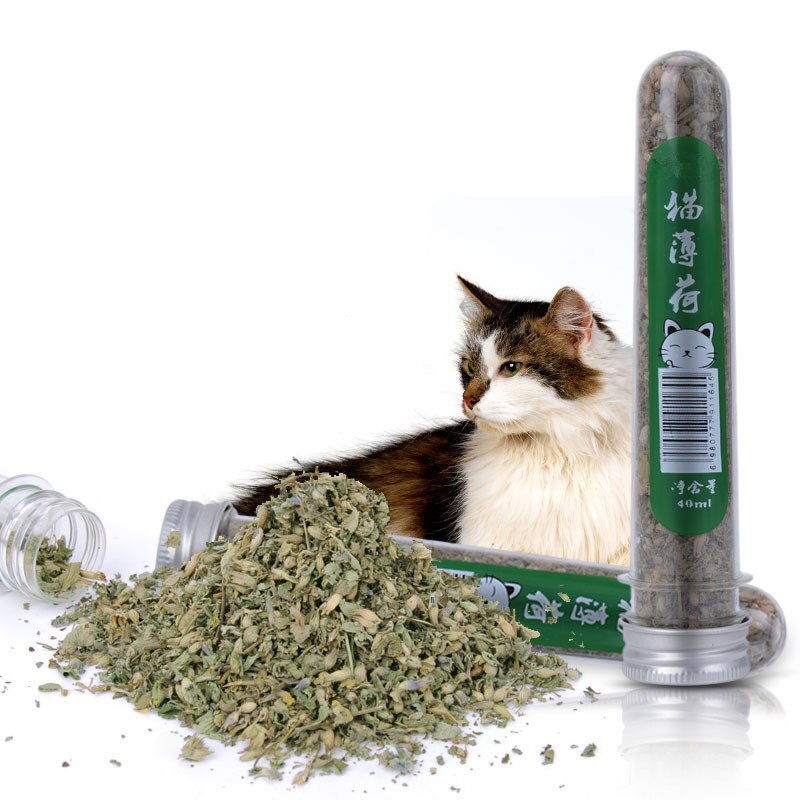 1 bottle 40ml Natural Pet Kitten Cat Mint make your cat to have a good mood pet cat supplies