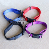 CW019 New Fashion Nylon dog collars for small dogs Pet Cat Collar 4 Sizes 4 colors adjustable dog collar nylon wholesale