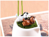 XBJ109 Mini 6PCS pony decor supplies moss micro landscape deco  Garden deco Creative handicrafts