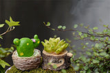 XBJ059 Craft Mini Simulation Resin Succulents Models Garden Miniatures Potted Plants Ornament Home Decor