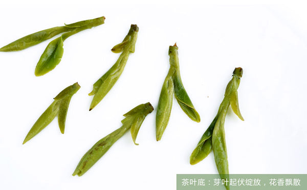 TemuTea Chinese Tea Longjing Tea Spring Green Tea West lake Longjing Tea 50g Long Jing tea