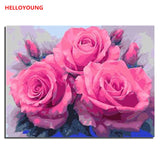 Blooming roses Digital Painting DIY Handpainted Oil Painting Budding Flowers by numbers oil paintings chinese scroll paintings