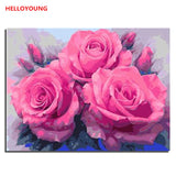Blooming roses Digital Painting DIY Handpainted Oil Painting Budding Flowers by numbers oil paintings chinese scroll paintings