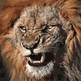 HELLOYOUNG DIY Handpainted Oil Painting Lion King Digital Painting by numbers oil paintings chinese scroll paintings