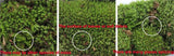 XBJ056 Moss Bottle Micro Landscape Accessories Material Dedicated Ecology Glaucum Home Yard Garden Bonsai Decoration