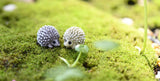 XBJ057 Miniature Hedgepig Set of 3pcs  Resin Hedgehog Figurine Garden Flower Pot Home Decoration