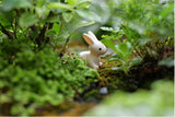 XBJ118 Mini 6pcs Pink and white rabbit decoration supplies moss micro landscape deco  Garden deco Creative handicrafts