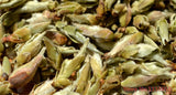 100g China Specials Organic Loose White Tea Pu Er Buds Wild Pu'er Tea Puerh Raw