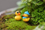 XBJ162 Mini 6pcs Traveling Ducks decoration supplies moss micro landscape deco  Garden deco Creative handicrafts