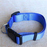 CW019 New Fashion Nylon dog collars for small dogs Pet Cat Collar 4 Sizes 4 colors adjustable dog collar nylon wholesale