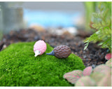 XBJ135 Mini 8pcs Color hedgehog decoration supplies moss micro landscape deco  Garden deco Creative handicrafts