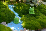 XBJ094 Mini 5pcs Blue eyes small frogs decoration supplies moss micro landscape deco  Garden deco Creative handicrafts