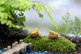 XBJ086 Mini 4pcs Oriole bird Bottle decoration supplies moss micro landscape deco  Garden deco Creative handicrafts