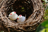 XBJ160 Mini 5pcs White little cock decoration supplies moss micro landscape deco  Garden deco Creative handicrafts