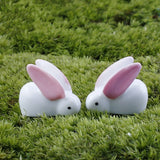 XBJ073 Mini 10 pcs Big ears white rabbit moss micro landscape decoration resin deco Garden deco Creative handicrafts