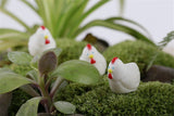 XBJ160 Mini 5pcs White little cock decoration supplies moss micro landscape deco  Garden deco Creative handicrafts