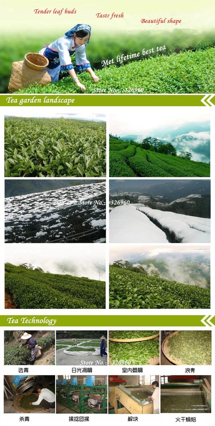 Super High Mountain Fragrant Health Care Green Tea Diet Tea Milk Oolong tea CN