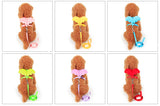 Cute Angel Pet Dog Leashes and Collars Set Puppy Leads for Small Dogs Cats Designer Wing Adjustable Dog Harness Pet Accessories