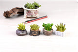 XBJ059 Craft Mini Simulation Resin Succulents Models Garden Miniatures Potted Plants Ornament Home Decor