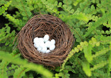 XBJ037 Mini Egg Resin Quail Eggs 12pcs Pigeon Eggs Simulation Mini Bird Egg Dollhouse Moss Micro Landscape Ornaments