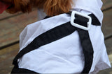 Western Style Men's Suit Bow Tie Small Pet Dog Clothes For Small Dogs Boy Puppy Apparel Jumpsuit Cheap Pet Clothes Drop Shipping