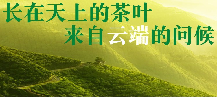 Promotion 125g New Top Grade Wuyi Black Tea Jin Jun Mei Kim Chun Mei Jinjunmei